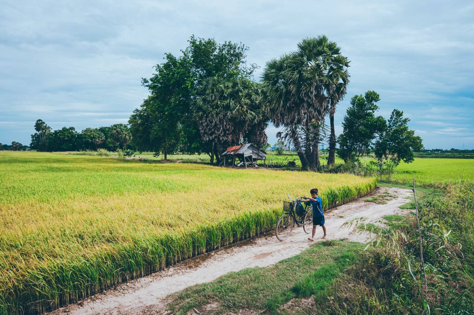 Battambang in twee dagen: de boot, de vleermuizen en het platteland