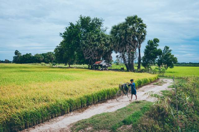 Battambang in twee dagen: de boot, de vleermuizen en het platteland