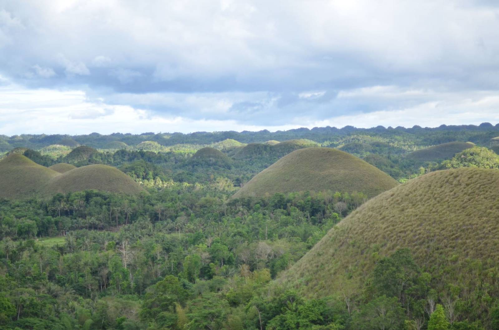 Wat te doen op Bohol? De highlights die je niet mag missen