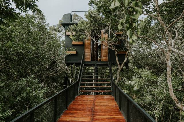 Slapen in een boomhut, vliegen door de jungle: alles over The Gibbon Experience