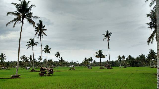 Padang Sidempuan: alles wat je moet weten voor je bezoek