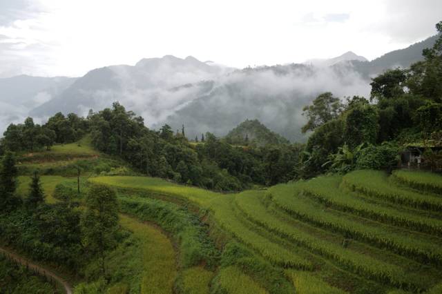 Wat te doen in Sapa? De highlights die je niet mag missen