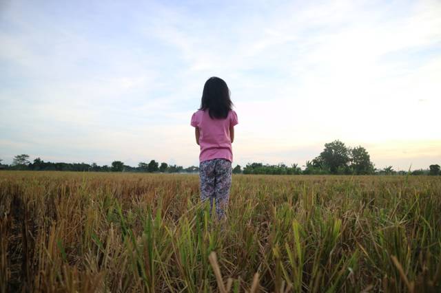 Wat te doen in Tetebatu? De highlights die je niet mag missen