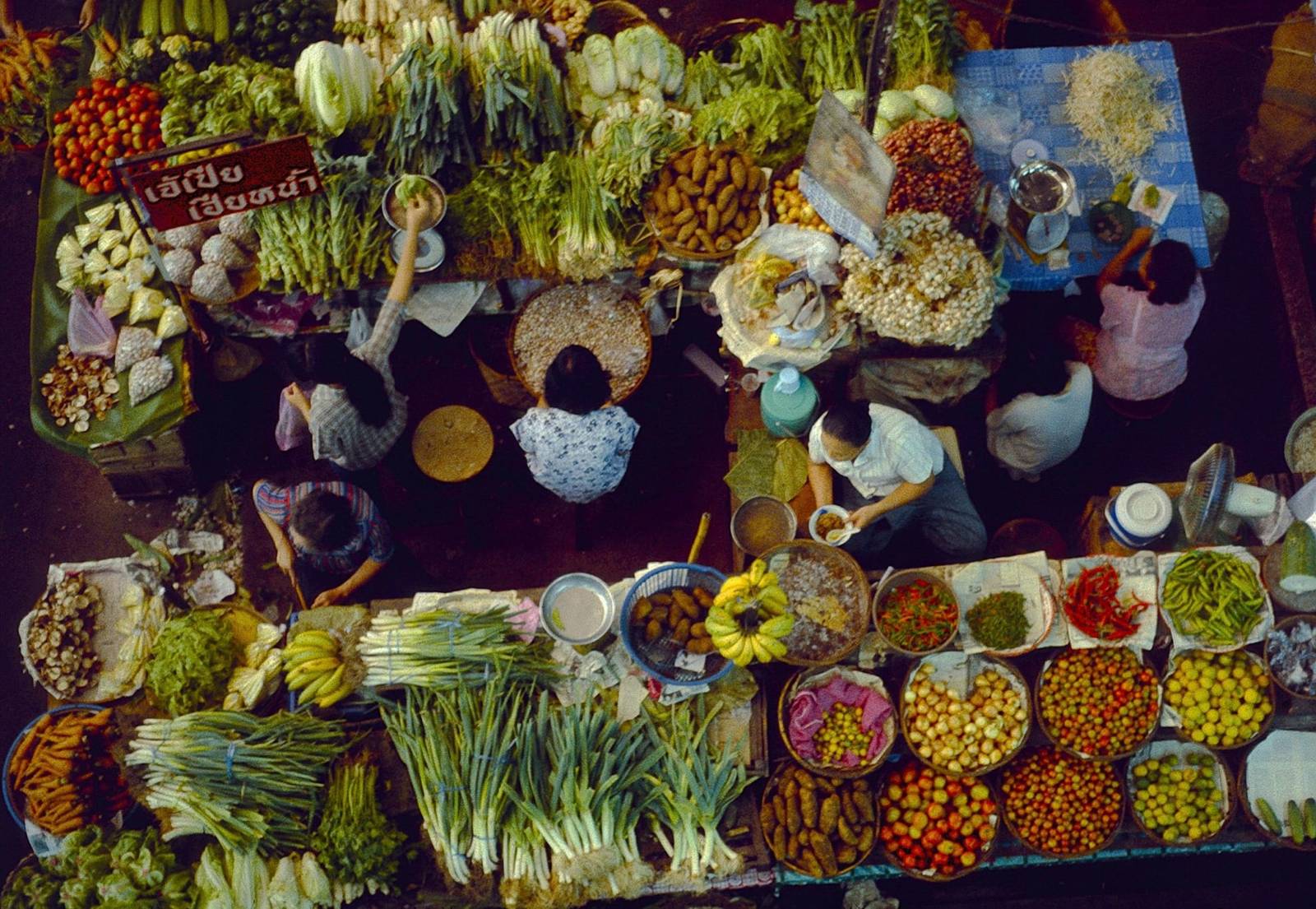 Wat kost backpacken in Thailand? Ons dagbudget per plaats