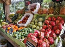 Tropisch fruit
