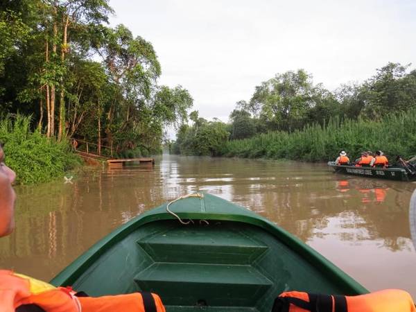 Sandakan: 3 dagen aan de Kinabatangan, het wilde hart van Borneo