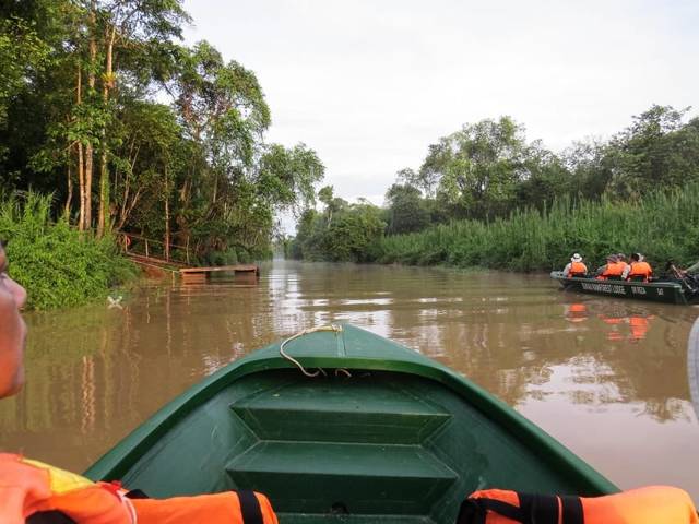 Sandakan: 3 dagen aan de Kinabatangan, het wilde hart van Borneo