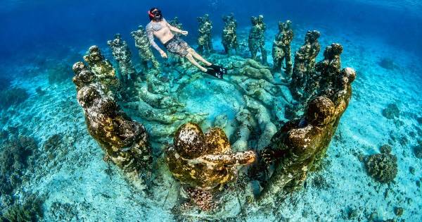 Gili Meno: snorkelen met schildpadden, in een groep of privé