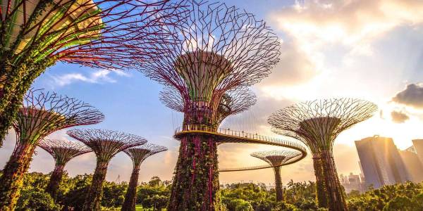 Singapore: toegangsbewijs voor Gardens by the Bay