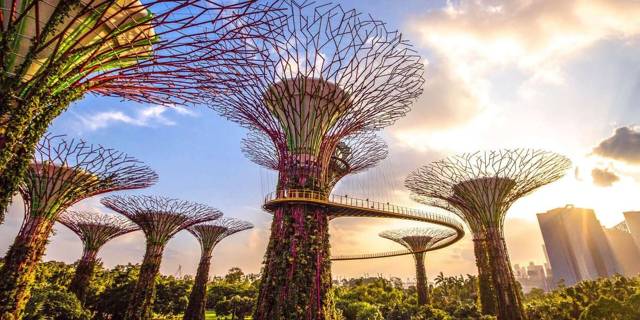 Singapore: toegangsbewijs voor Gardens by the Bay