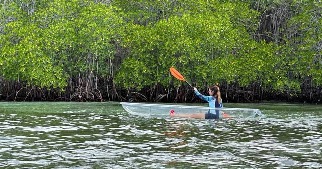 Nusa Lembongan: door de mangrove per kajak, sup of boot