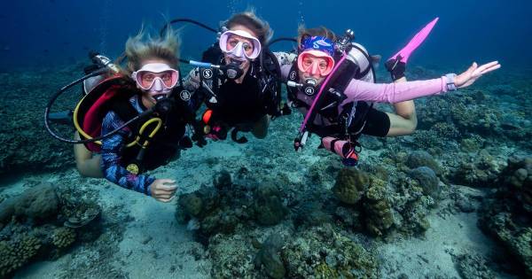 Gili Trawangan: proefduik voor beginners