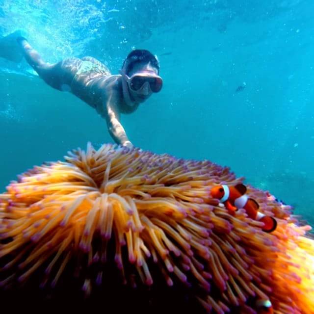 Tunku Abdul Rahman: snorkelen bij Sapi en Manukan met lunch