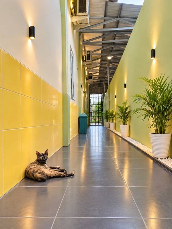 Amplazio Hostel Medan