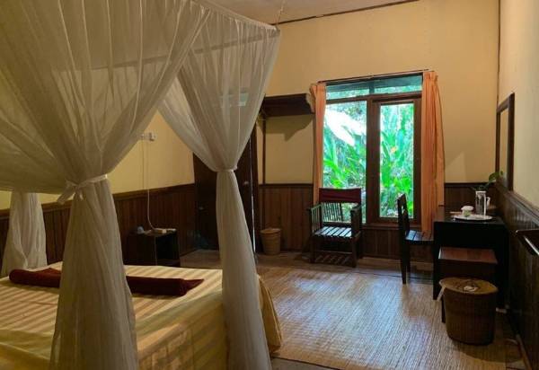 Rimba Orangutan Eco Lodge