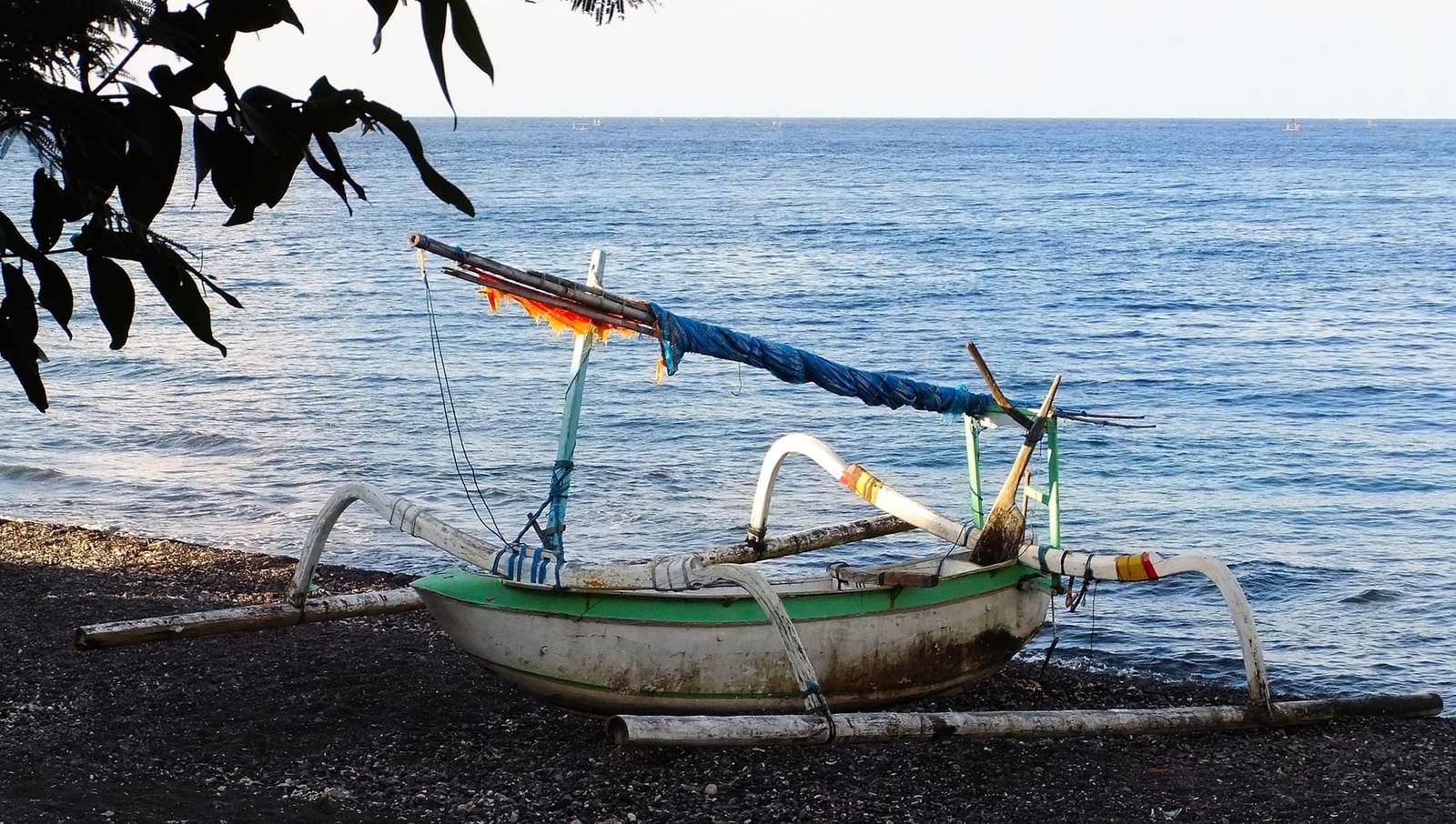 Amed