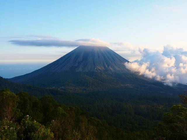 Bajawa