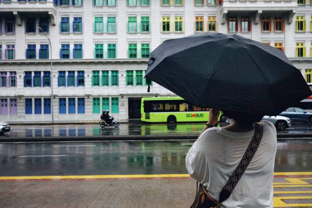 Wanneer ga je naar Singapore? Altijd warm, maar niet altijd even nat