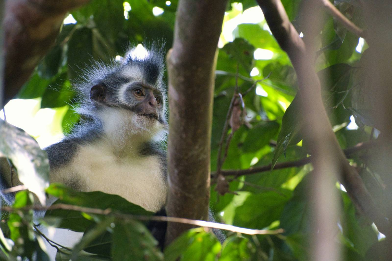 Wat te doen in Bukit Lawang? De highlights die je niet mag missen