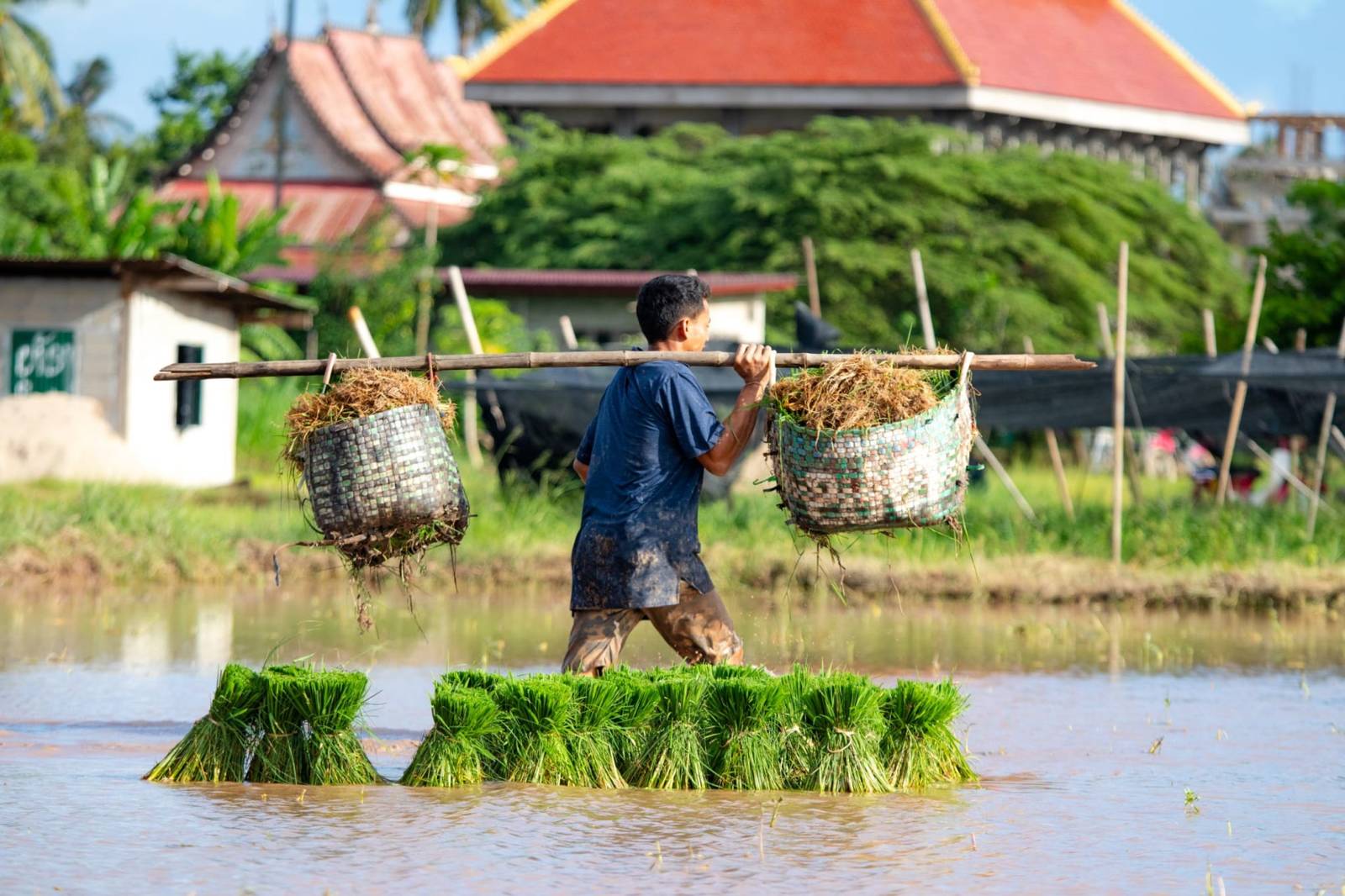 Eten en drinken in Laos: dit moet je geproefd hebben