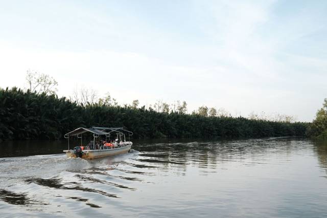 Kinabatangan
