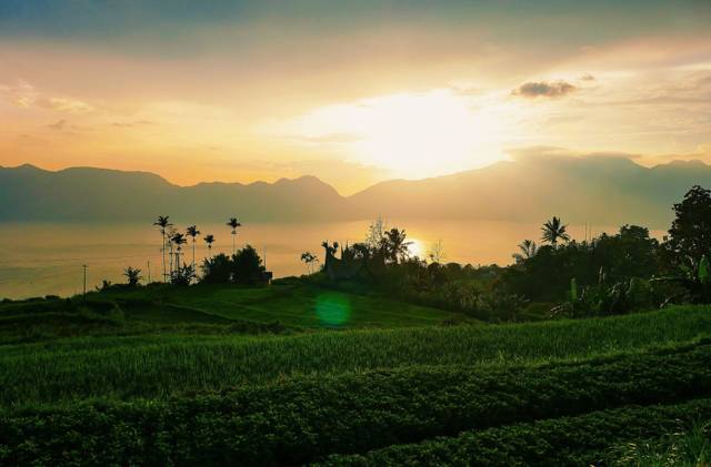 Sumatra