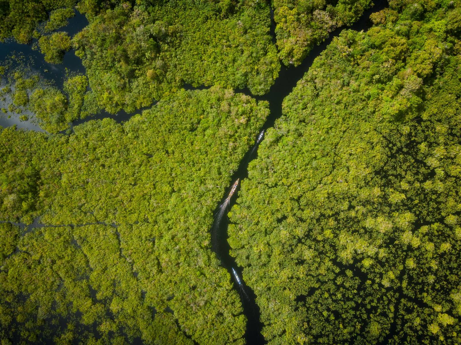 Tanjung Puting: alles wat je moet weten voor je bezoek