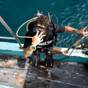 Duiker van Below Zero Divers stapt vanaf de boot het water in