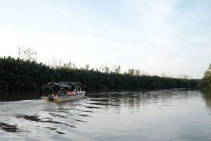 Kinabatangan-rivier op Borneo