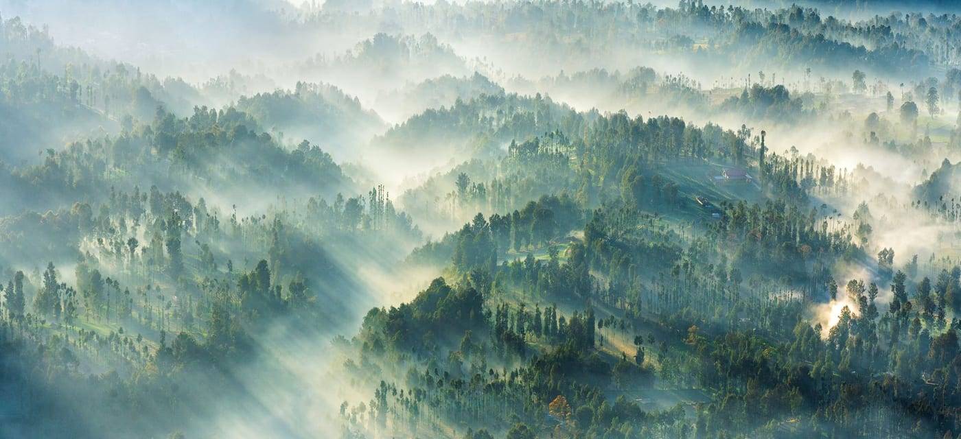 Ochtendmist en zonnestralen boven beboste heuvels