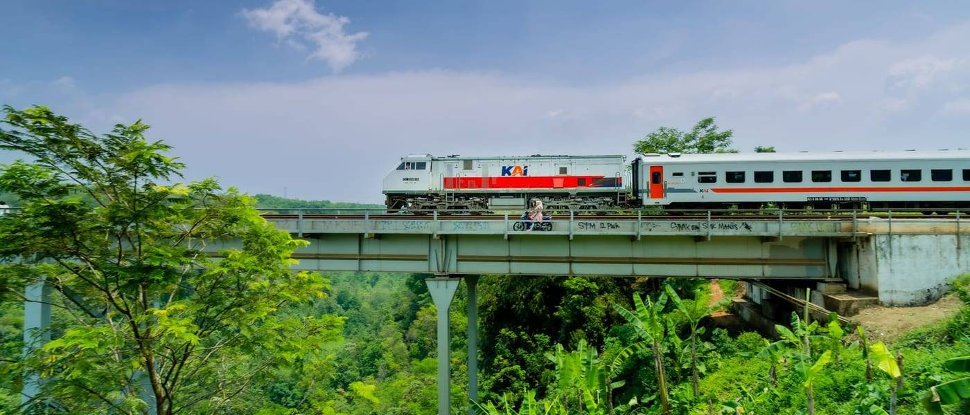 Wit-rode KAI-trein rijdt over een brug boven de groene jungle