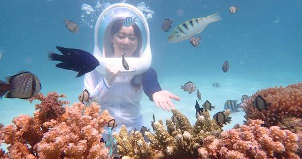 Boracay: Helmduikervaring met foto's en video's