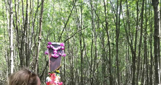 Ko Lanta: halve dagtour mangroveboottocht met lunch