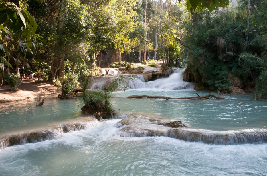 Luang Prabang: cruise naar de Pak Ou-grotten en de Kuang Si-watervallen