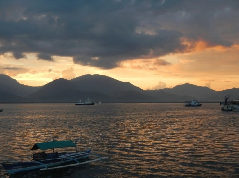 Puerto Princesa: Vuurvliegjes kijken in de baai cruise met diner
