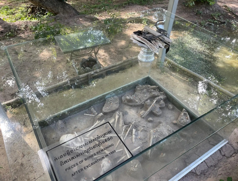 Phnom Penh: De Killing Fields & Tuol Sleng Genocide Museum