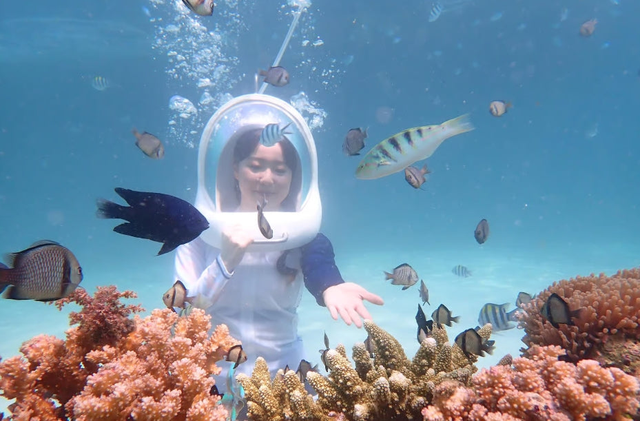 Boracay: Helmduikervaring met foto's en video's