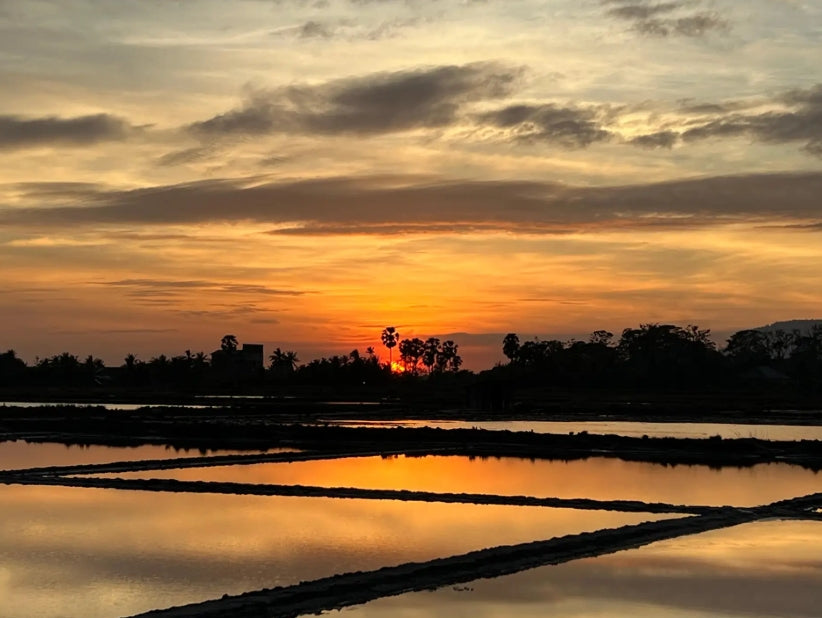 Kampot: peperboerderij, La-plantage, zoutpannen en geheim meer