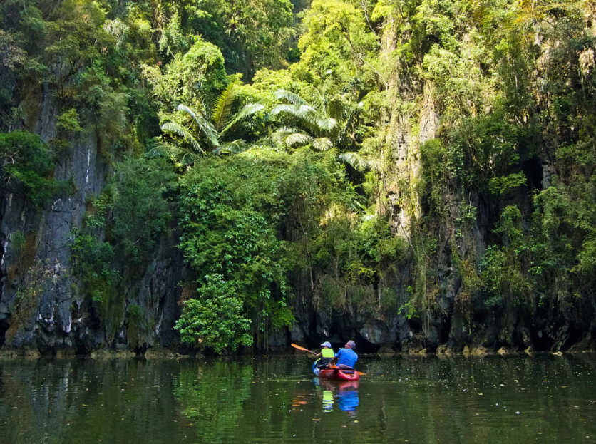 Krabi: Kajakavontuur door het mangrovebos van Ao Thalane