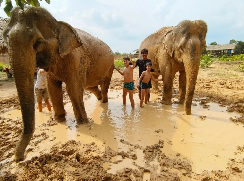 Vanuit Siem Reap: Olifantenopvang ervaring met transfers