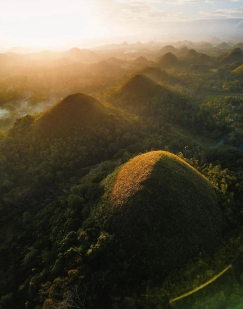 Bohol: Premium Chocolade Heuvels, Tarsiers & Rivier Ervaring