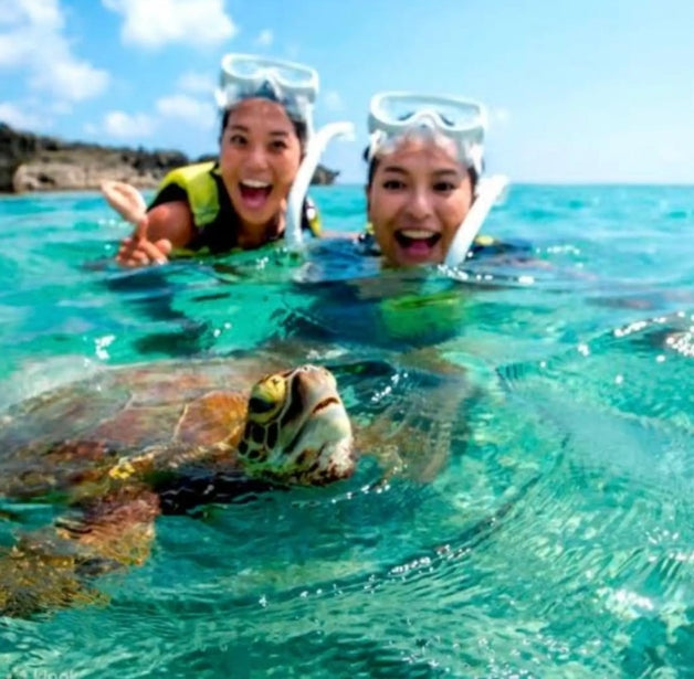 Bohol: eilandhoppen met dolfijnen spotten en zwemmen met zeeschildpadden