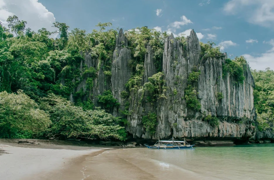 Vanuit Puerto Princesa: Underground River-dagtrip