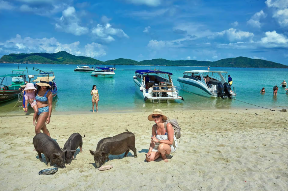 Koh Samui: Varkenseiland en Koh Tan snorkelen met speedboot