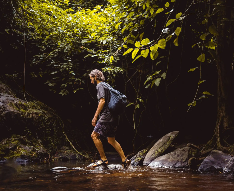 Khao Sok: Privé Trek van een halve dag langs watervallen en wilde dieren