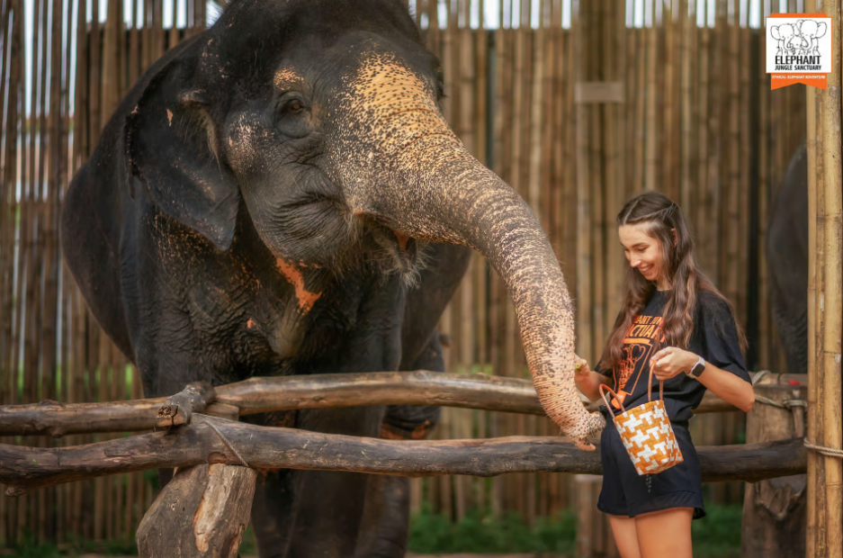 Phuket: Ethisch voederen met olifanten in Jungle Sanctuary