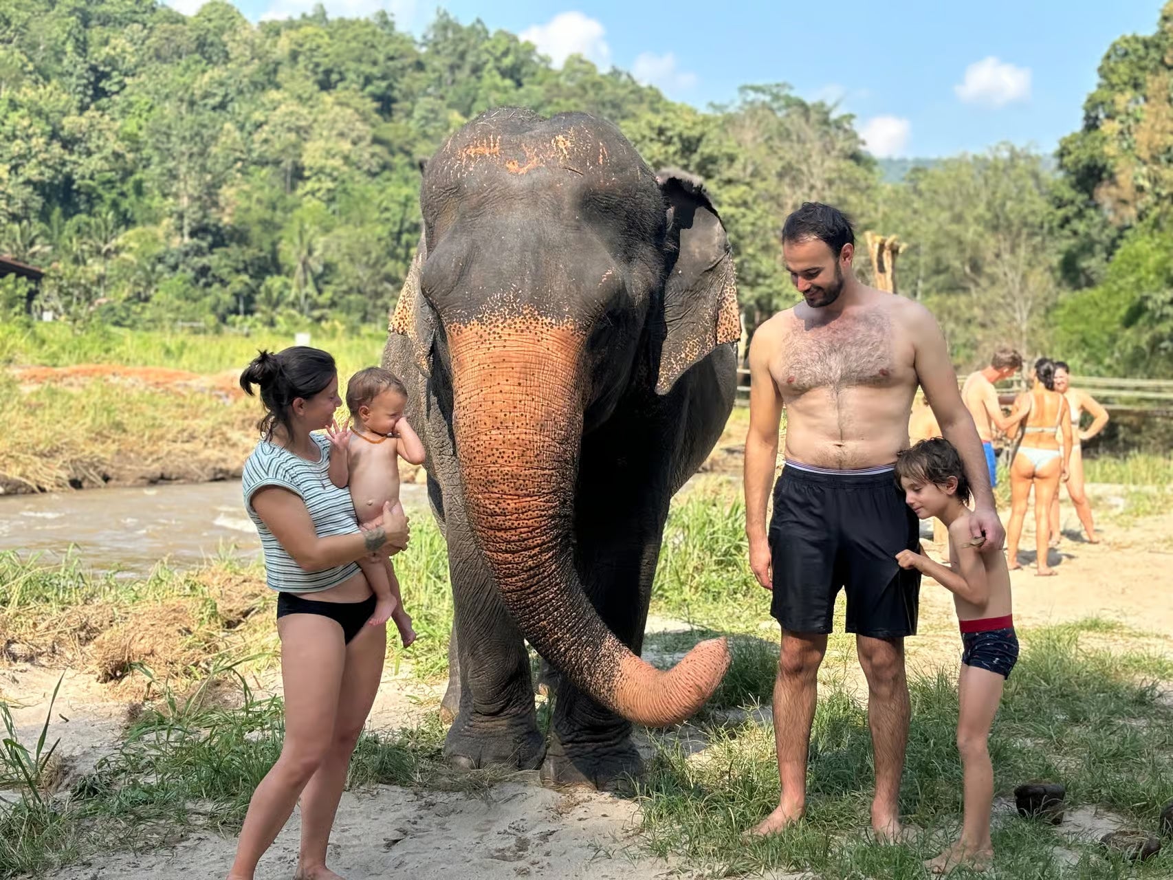 Chiang Mai: Elephant Sanctuary Feeding Program halfdaagse tour