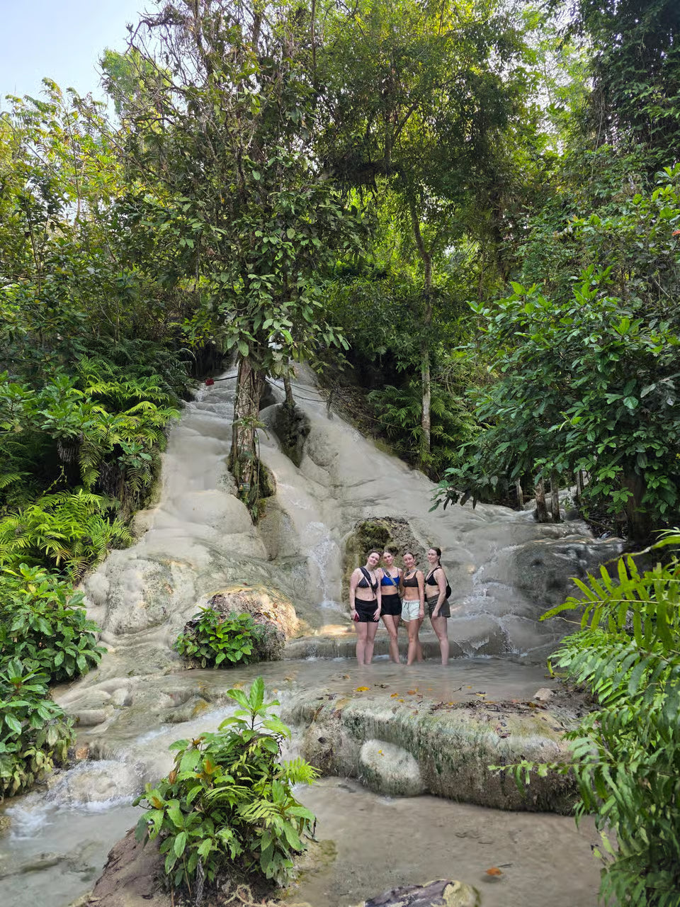 Chiang Mai: Sticky waterval (halve dag) Hoteltransfer